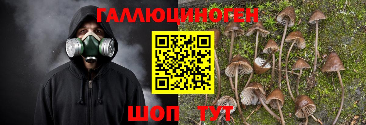 Псилоцибиновые грибы MAGIC MUSHROOMS Сызрань