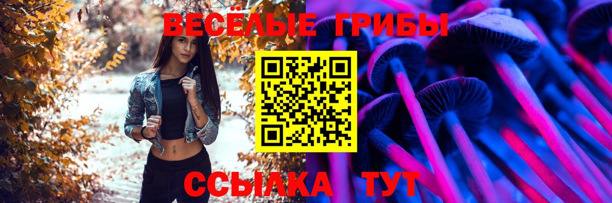 Сызрань  где купить наркоту  Вход с VPN  Псилоцибиновые грибы прущие грибы  Галлюциногенные грибы ЛСД 